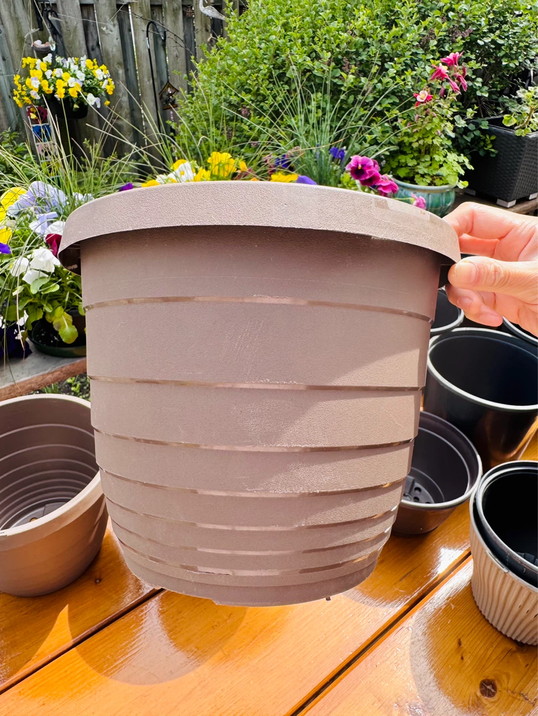 $2 Each Large Nursery Pot - 9.5”× 8” Brown