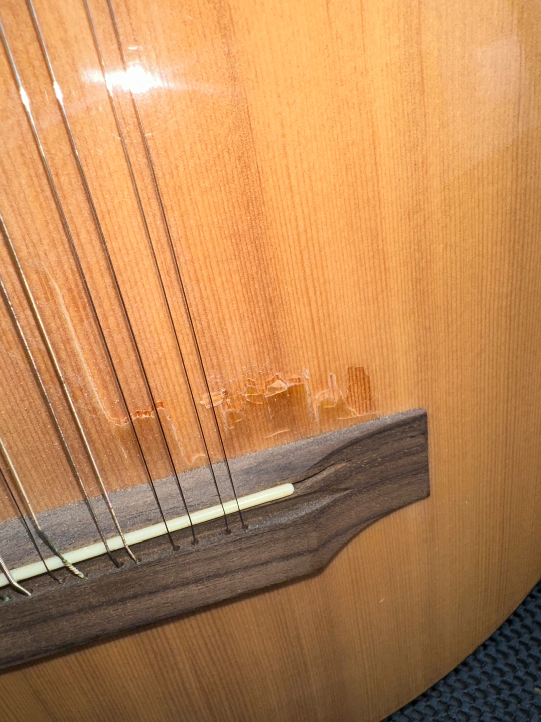 Harmonia Acoustic Guitar with EQ - photo 4