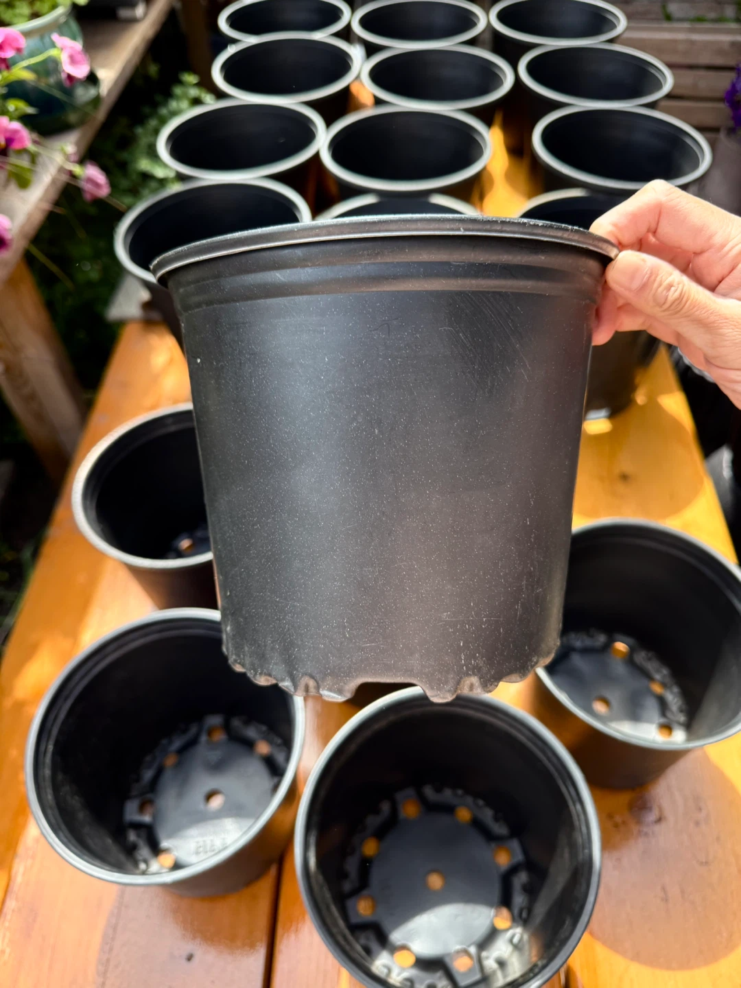$0.5 Each Medium Nursery Pot - 8”× 7”