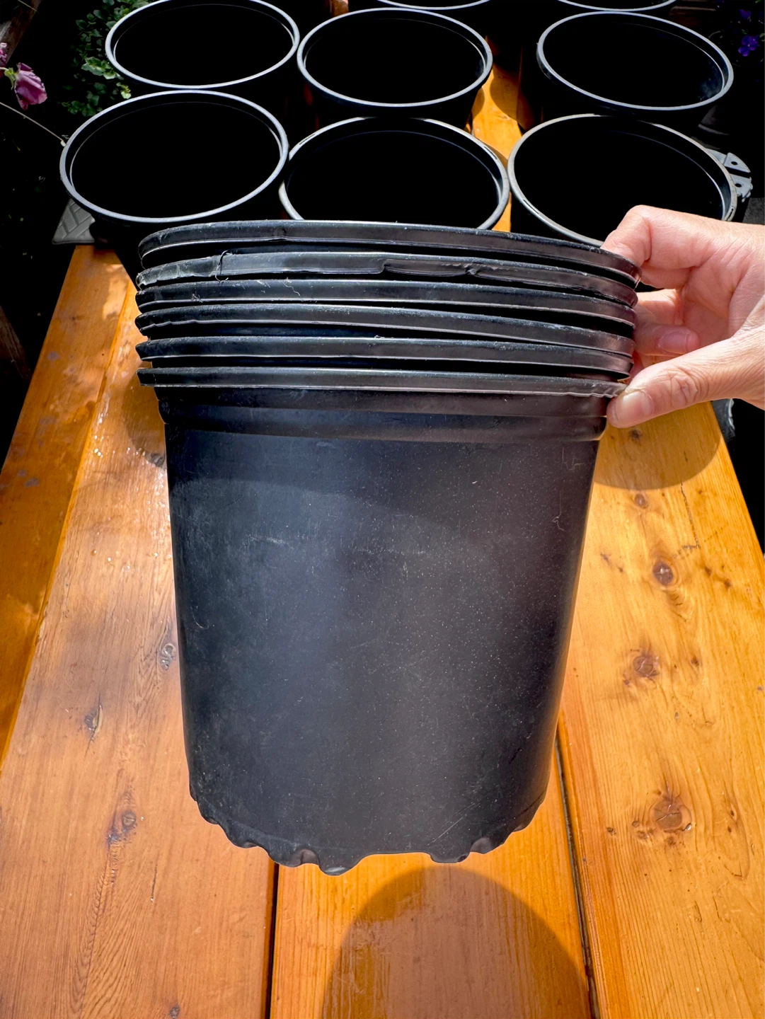$0.5 Each Medium Nursery Pot - 8”× 7” - photo 4