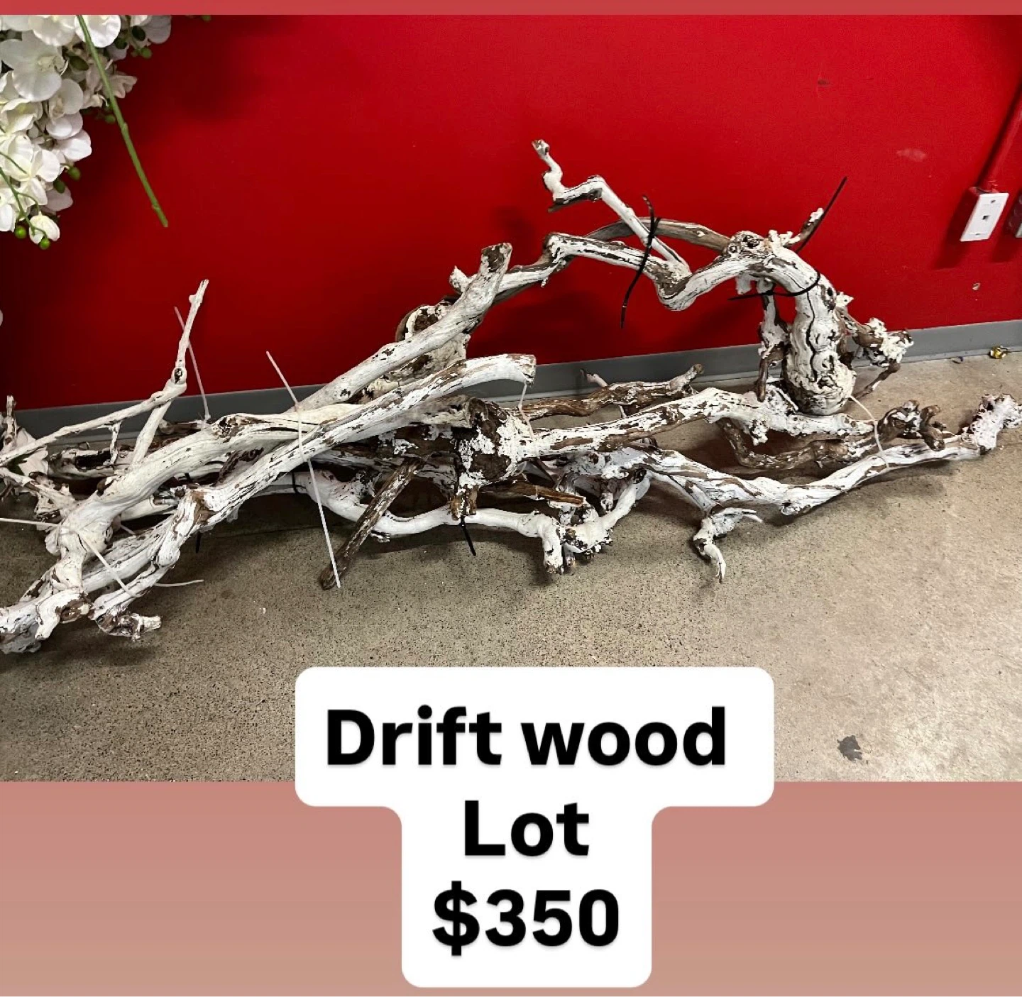 White Washed Driftwood Lot