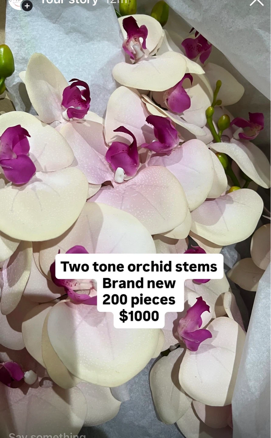Two Tone Orchid Stems - Brand New - 200 Pieces