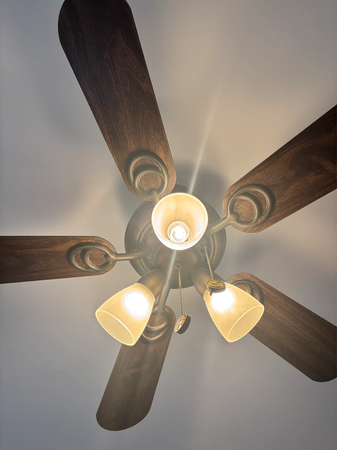 Ceiling Fan with Light Fixture - photo 4