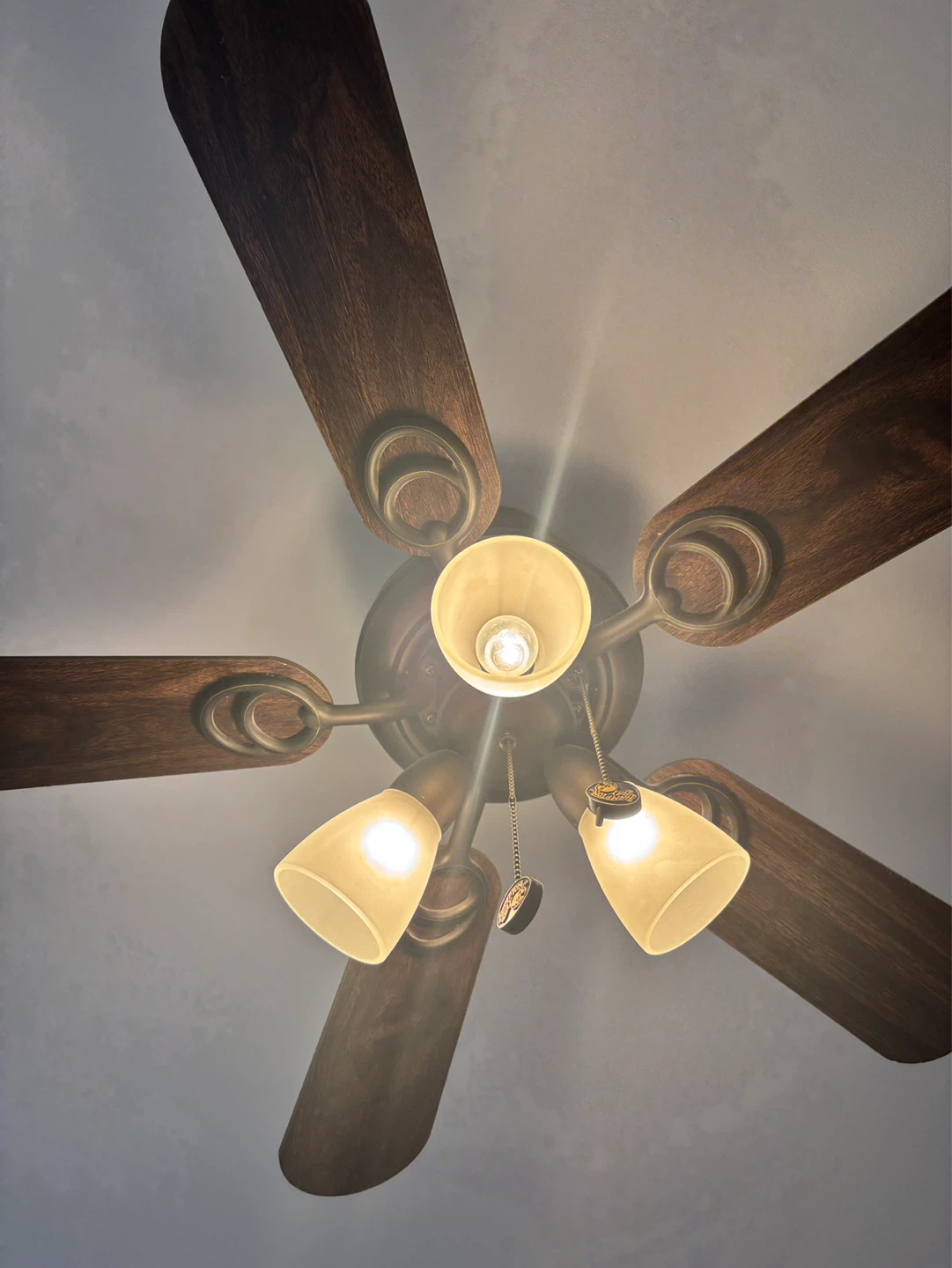 Ceiling Fan with Light Fixture - photo 2
