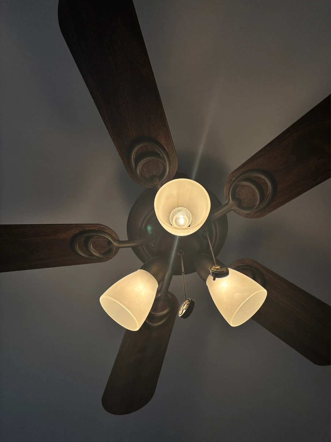 Ceiling Fan with Light Fixture