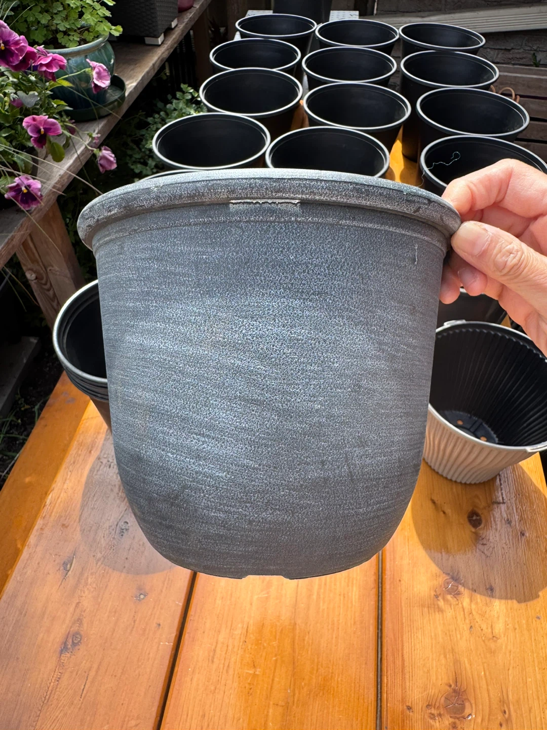 $0.5 Each Nursery Pot - Various Sizes