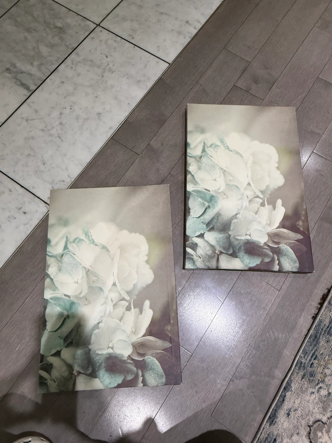 Set of 2 Floral Canvas Wall Art Prints