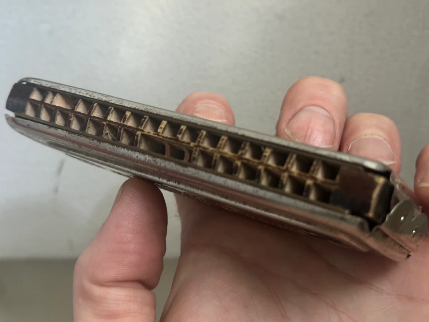 m hohner echo glockenreine stimmung c g note harmonica - photo 3
