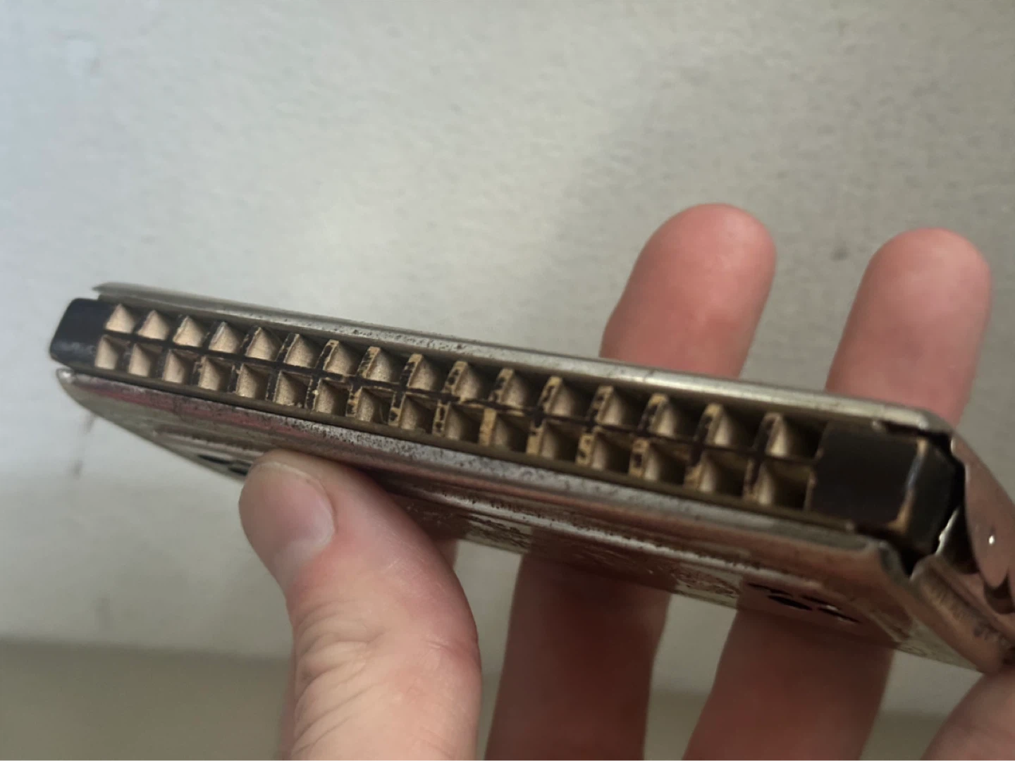 m hohner echo glockenreine stimmung c g note harmonica - photo 2