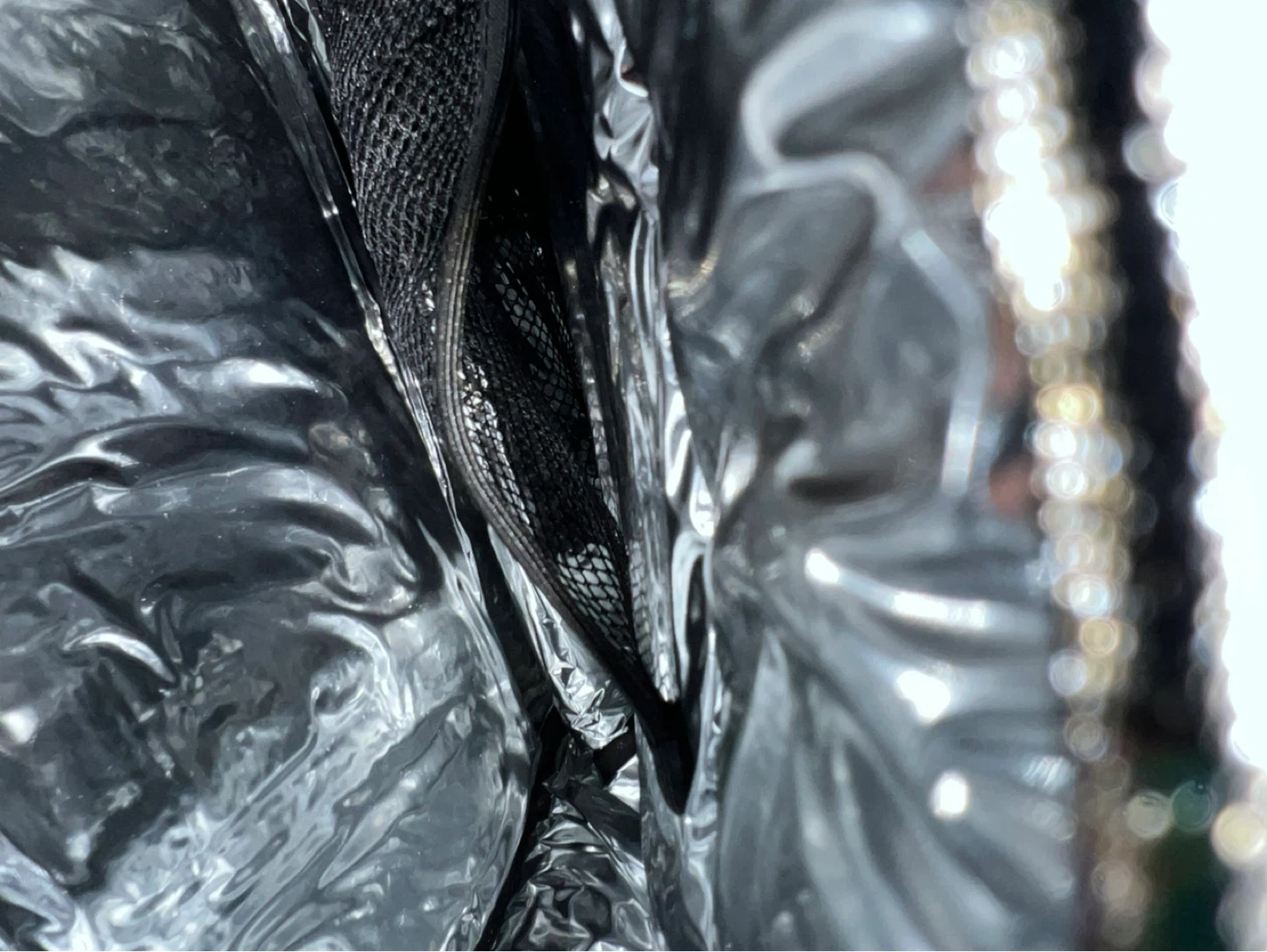 Eddie Bauer Insulated Cooler Bag - photo 2