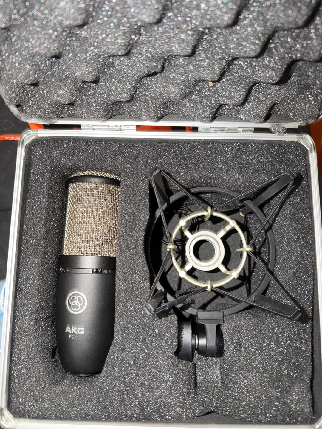 AKG P120 Condenser Microphone with Shock Mount and Case