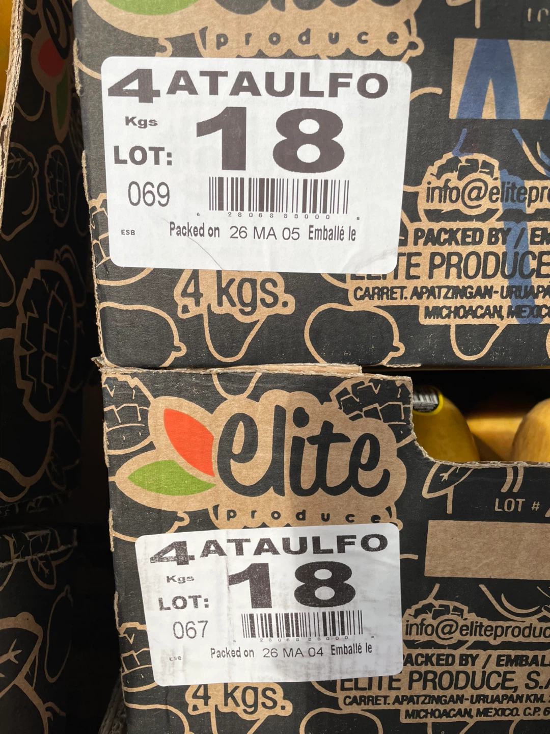 Crates of Mangoes - photo 4