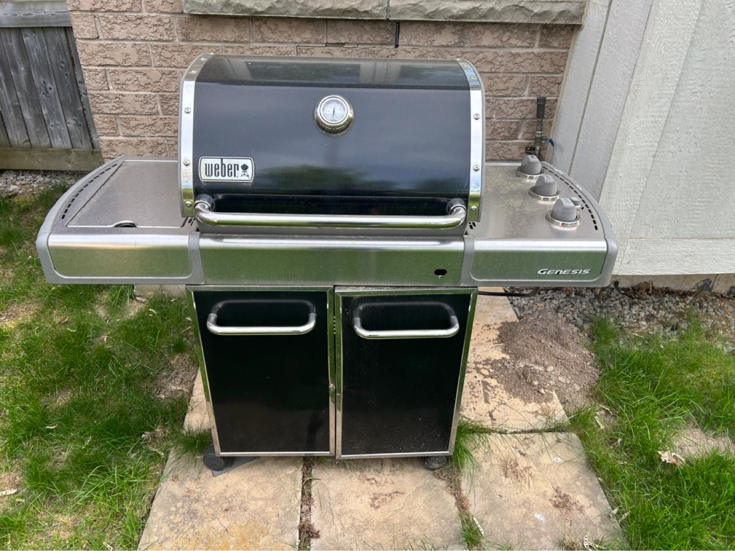Weber Genesis Gas Grill