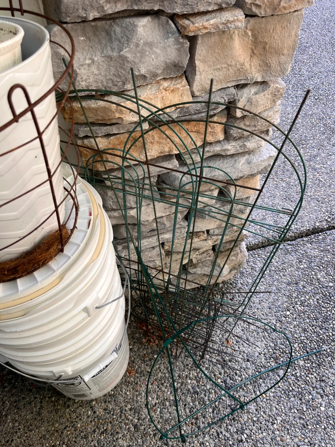 Metal Plant Cages/Supports - photo 3