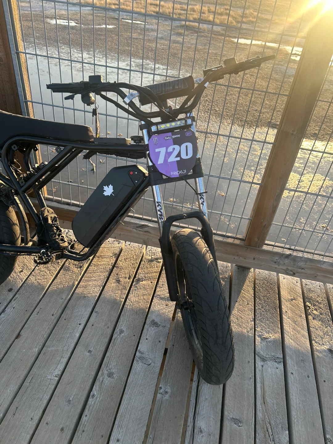 Ridstar Q20 Ebike 1500 watts