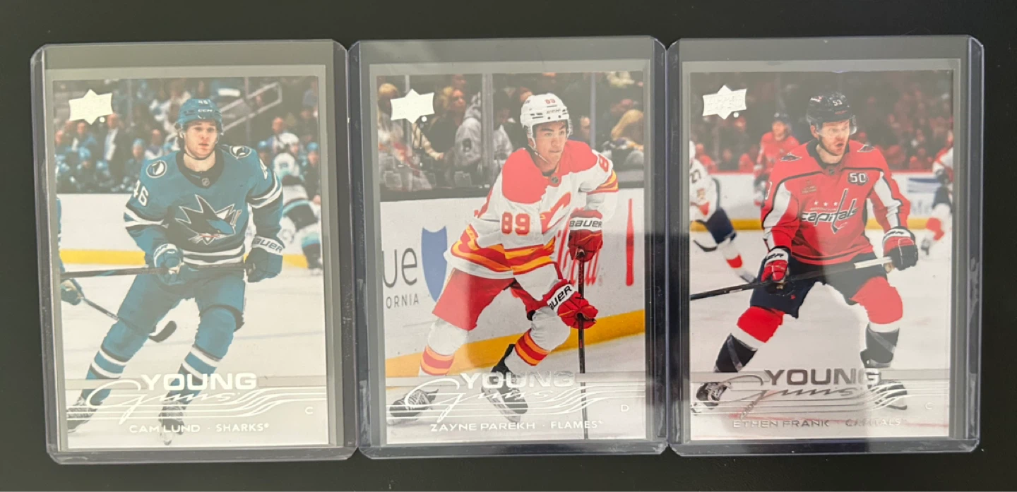 Young guns rookies - photo 3