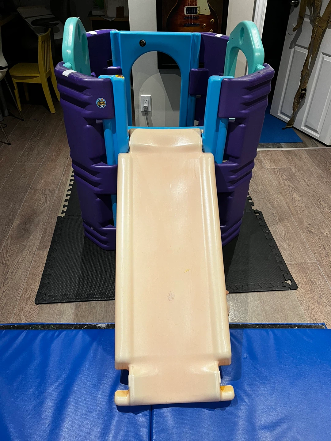 Activity Gym Slide and Steps Play structure