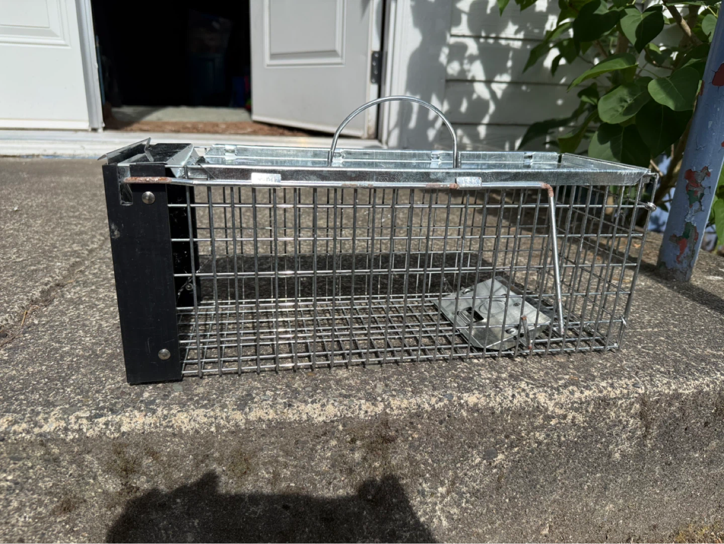 HAVAHART Live Animal Cage Trap - photo 3