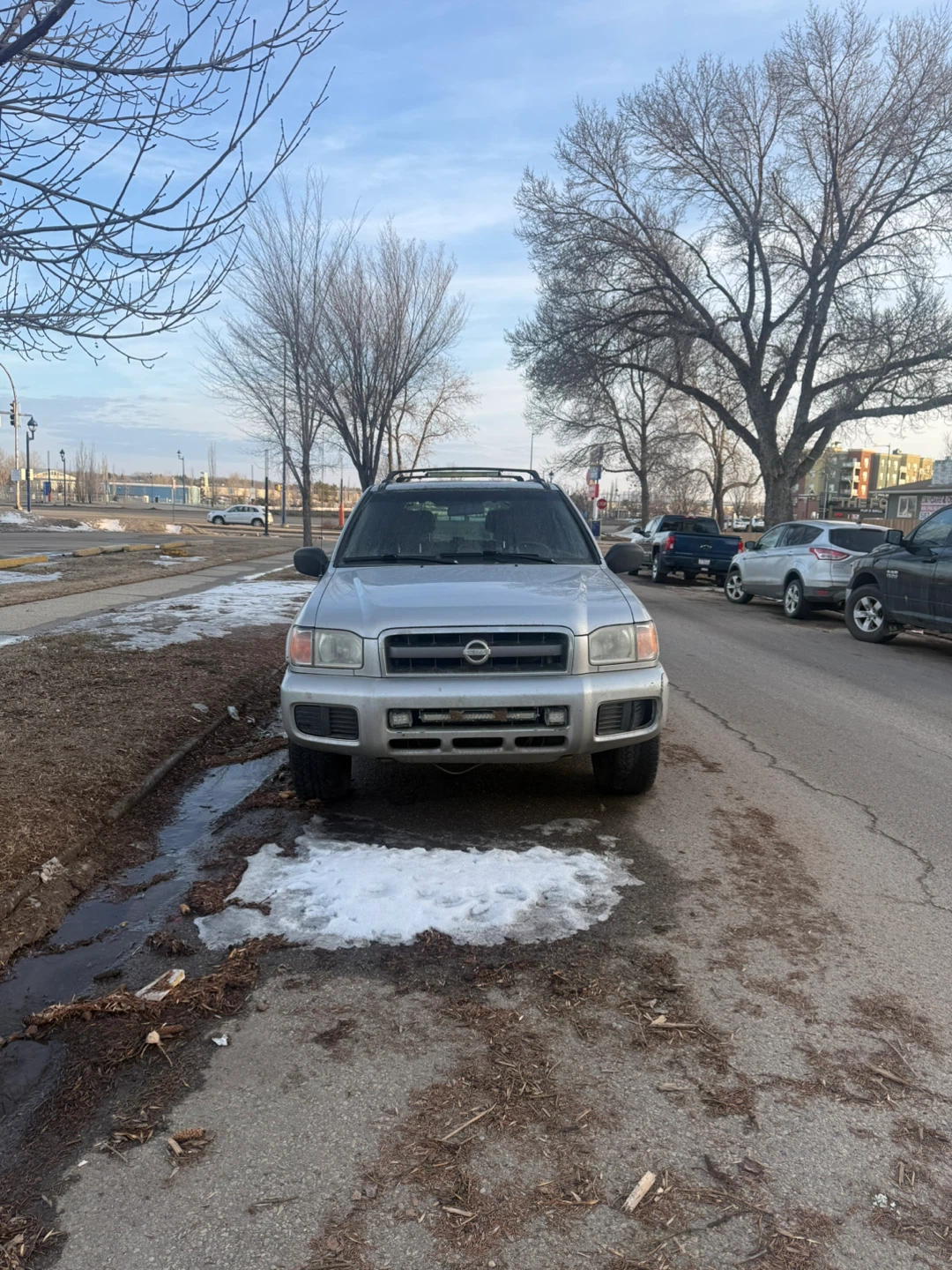 2004 Nissan Pathfinder - photo 3