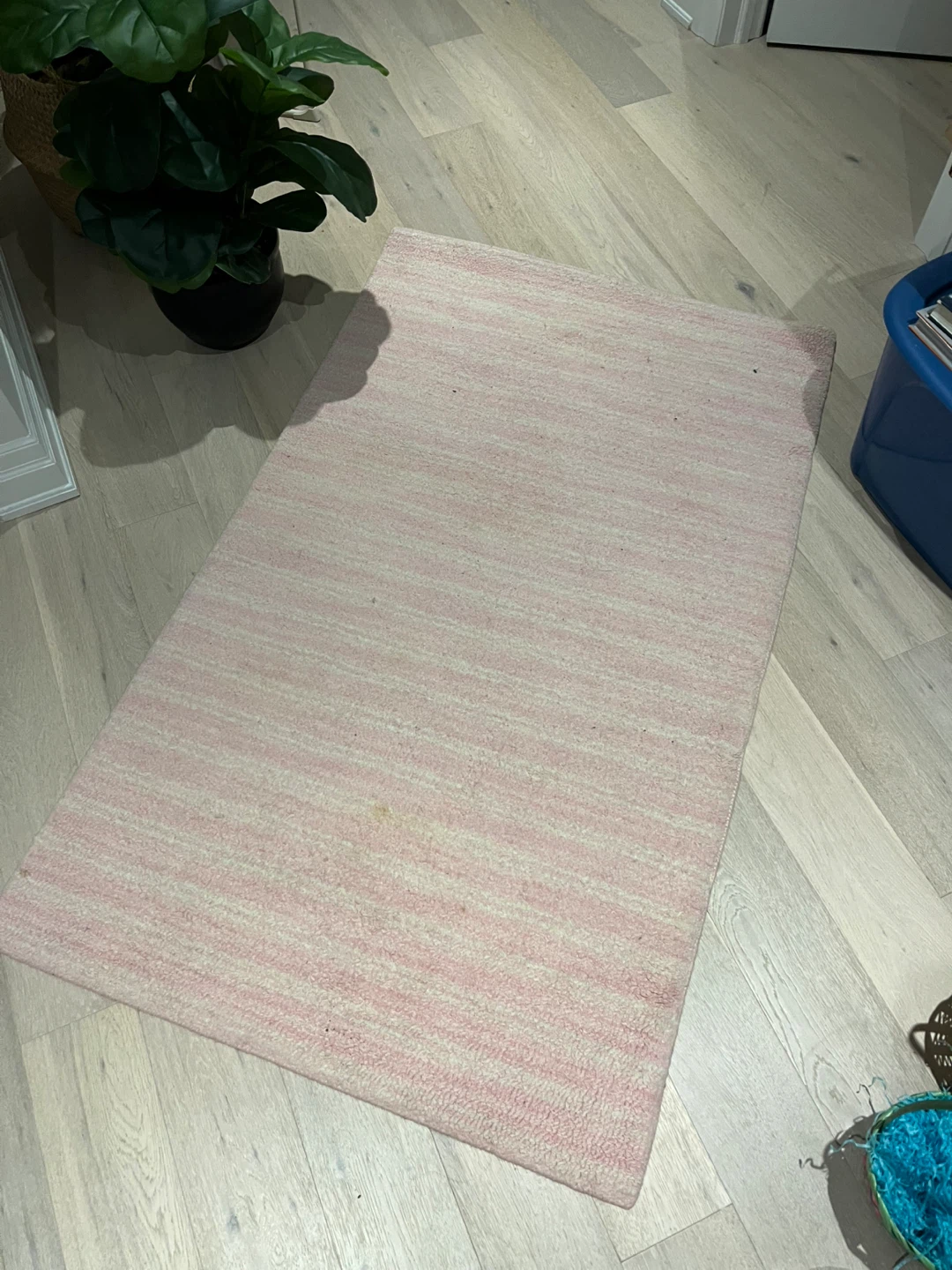 Pink Striped Area Rug