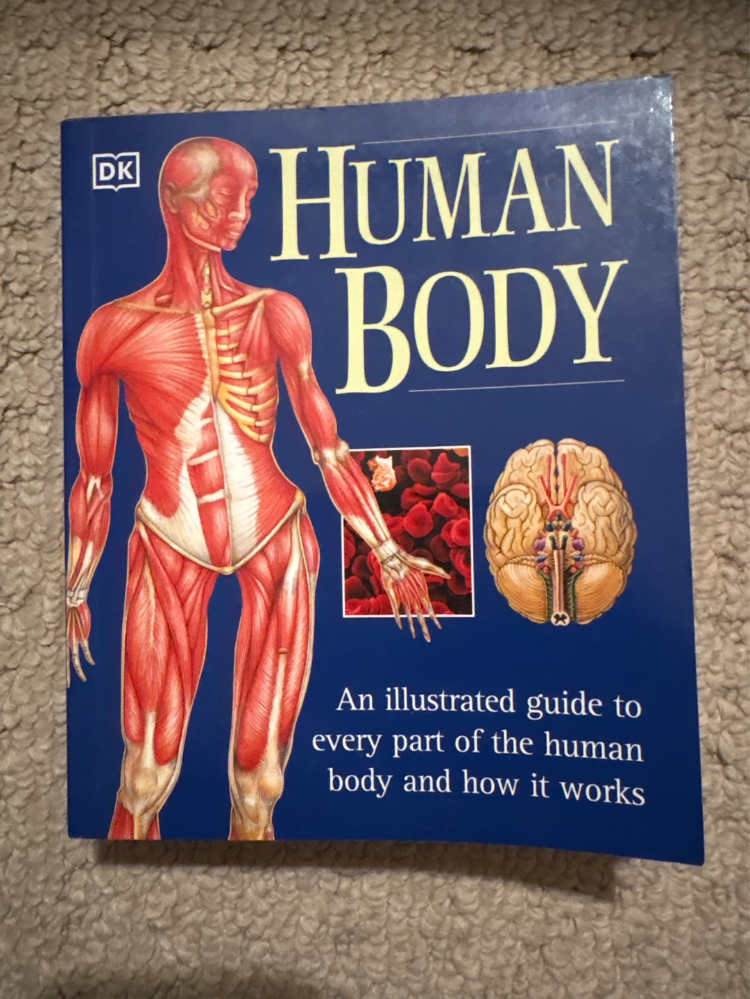 DK Human Body Illustrated Guide Book