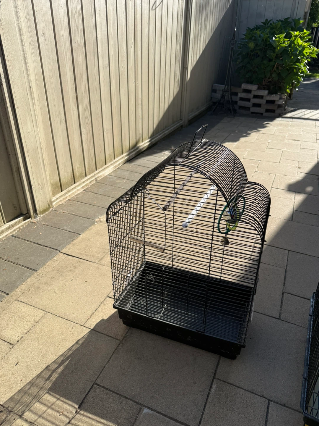 Bird Cage