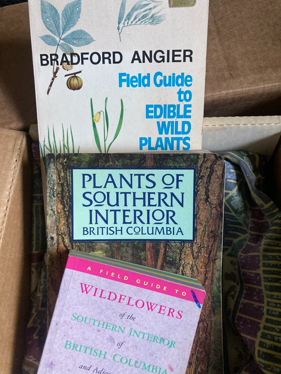 Field Guide to Edible Wild Plants & Wildflowers of Southern BC