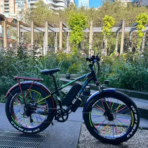 Blumemo Fat Tire electric Ebike