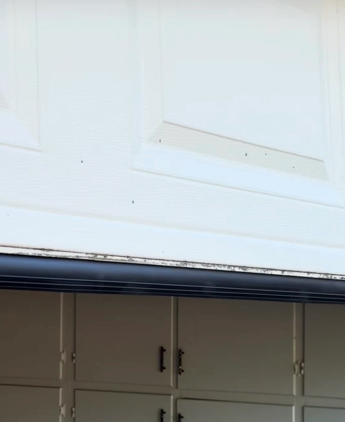 Bottom Seal Garage Door Weatherstrip - photo 4