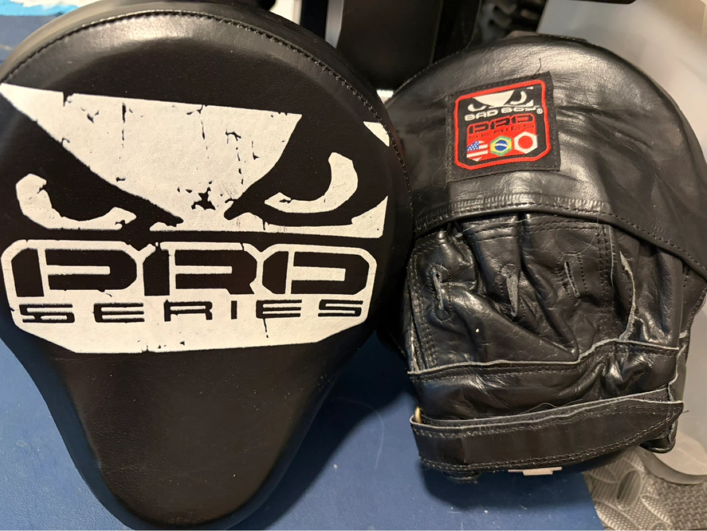 Bad Boy Pro Series Focus Mitts & Fairtex 16oz Gloves - photo 3