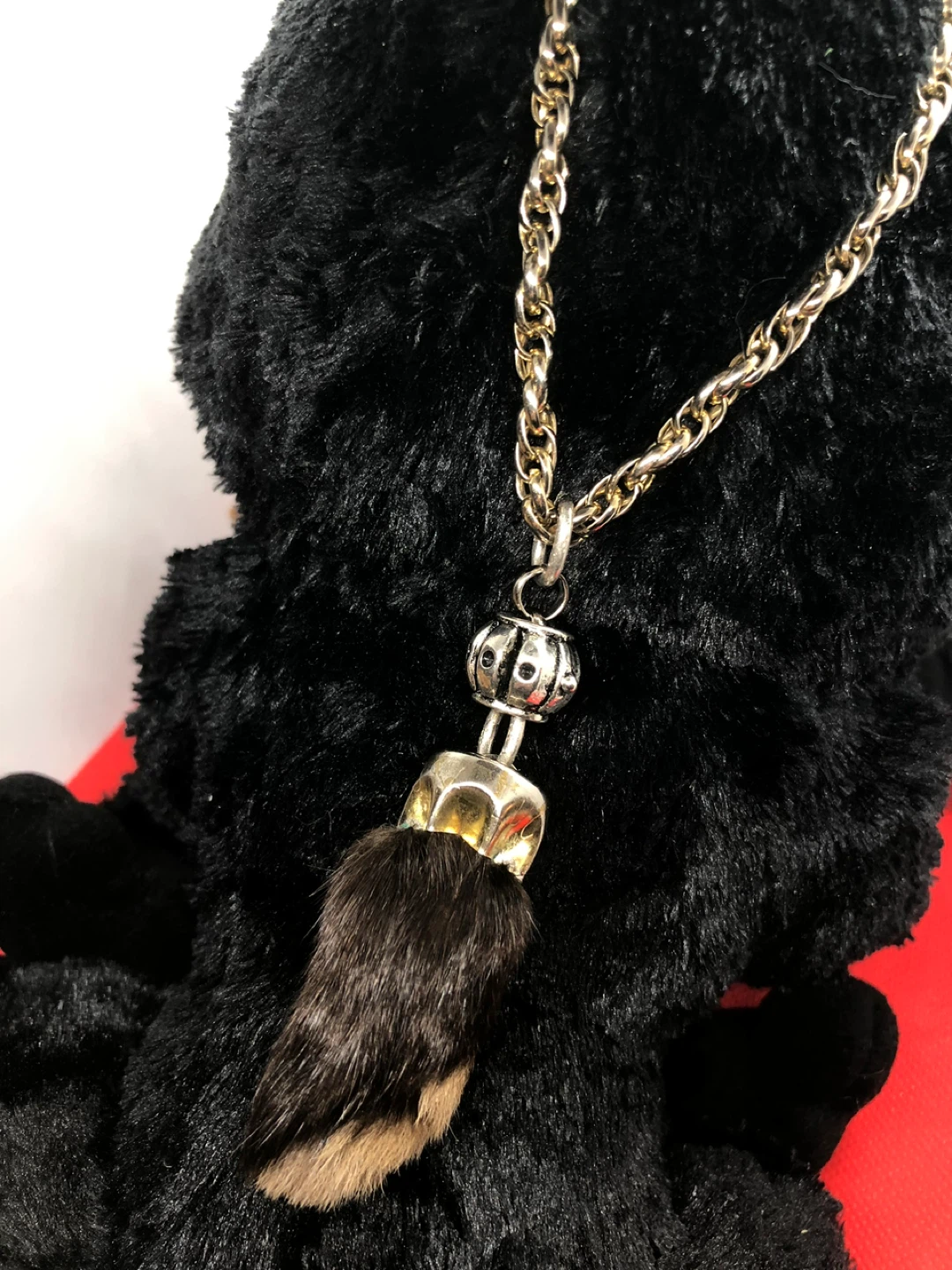 Real Rabbit 🐇 Foot Pendant with Gold Tone Chain Necklace