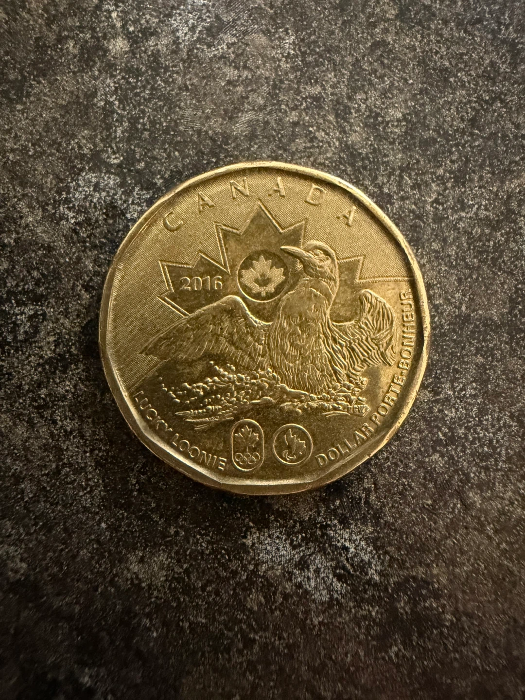 2016 Canada Lucky Loonie Dollar Coin