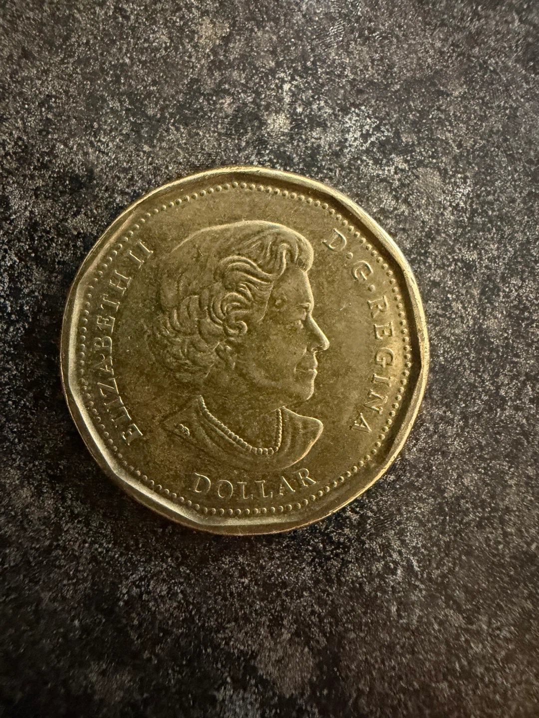 2016 Canada Lucky Loonie Dollar Coin - photo 2