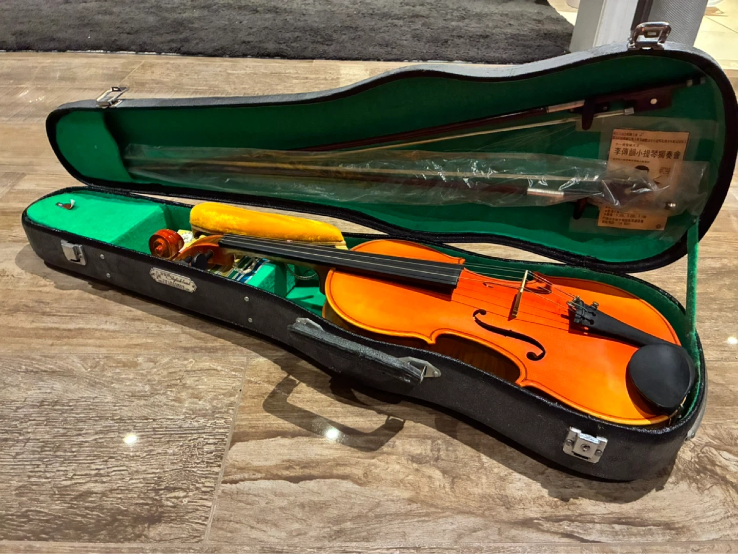 SKYLARK BRAND VIOLIN WITH CASE