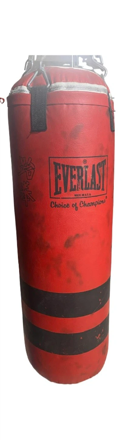 Everlast Punching Bag