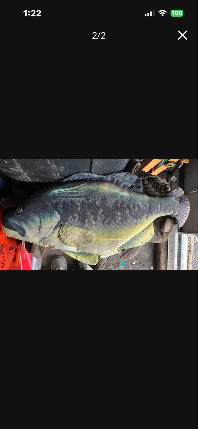 Large mouth, bass  pillow fish - photo 2
