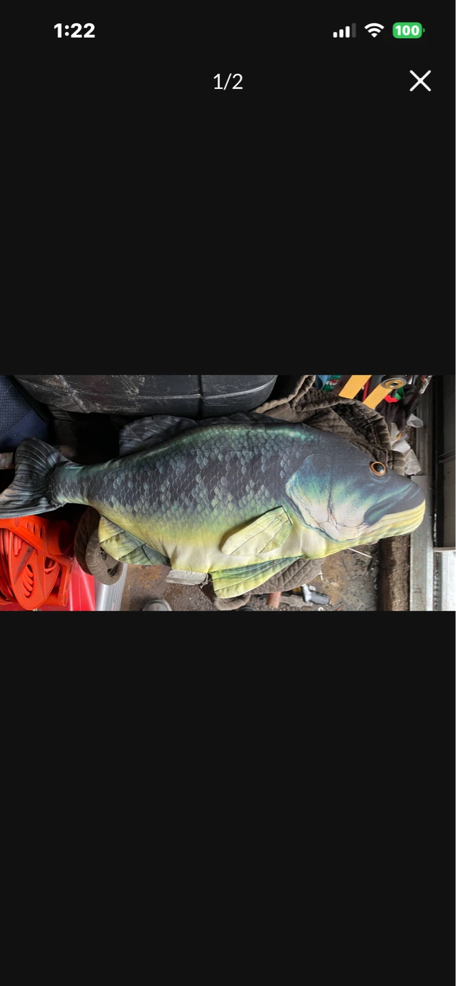 Large mouth, bass  pillow fish