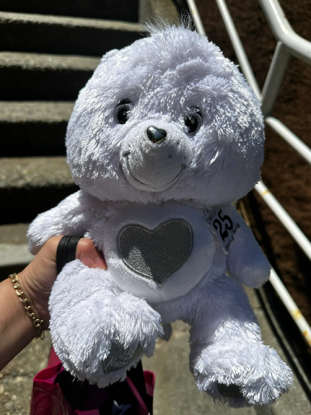 Care Bears 25th Anniversary Plush Toy