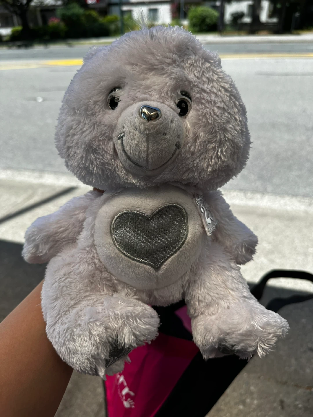 Care Bears 25th Anniversary Plush Toy - photo 2