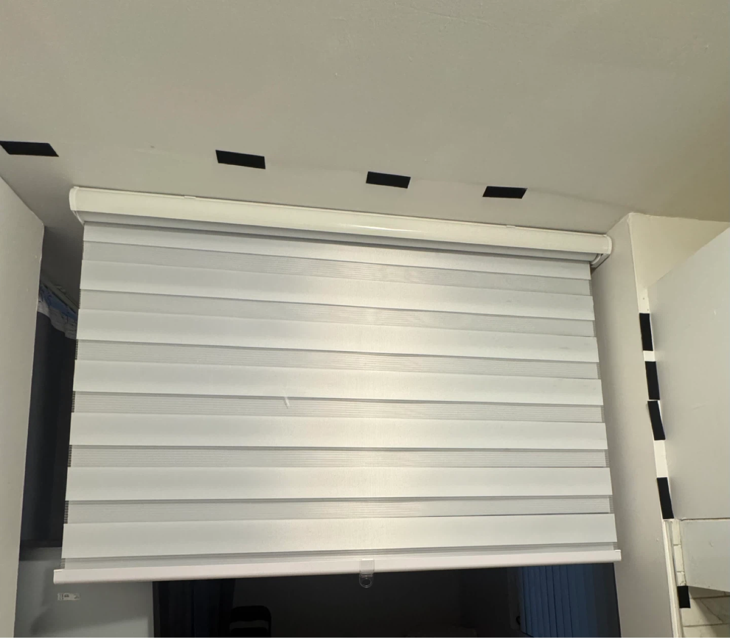 White Zebra Blinds