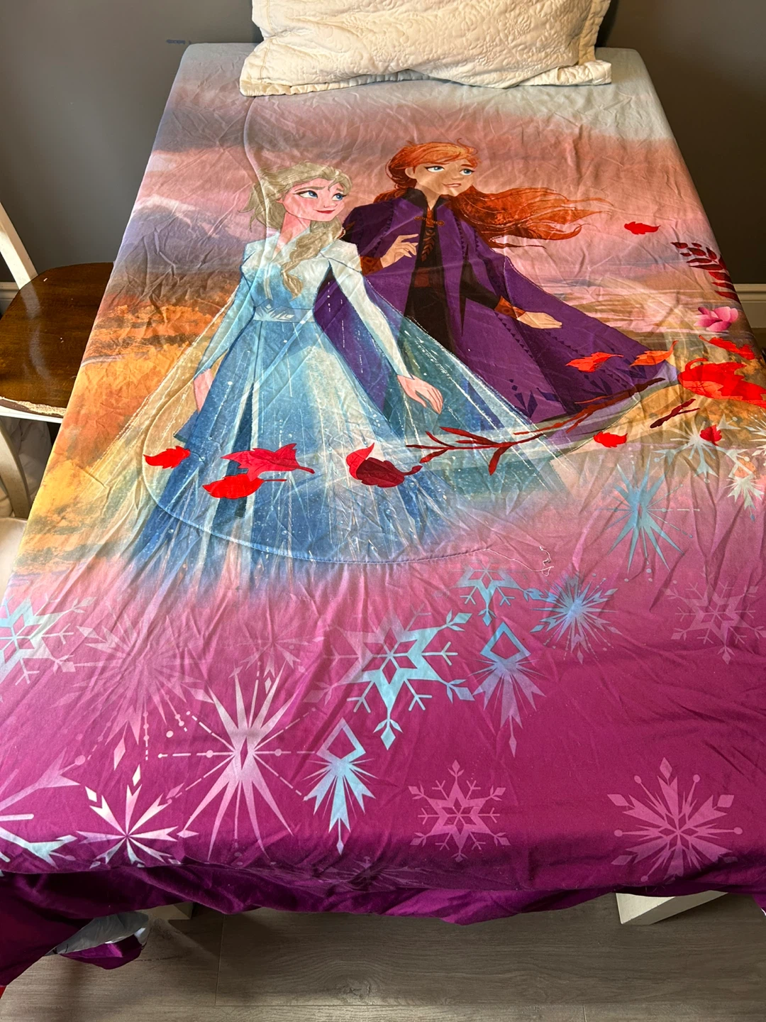 Disney Frozen Elsa & Anna Twin Bed Sheet Set