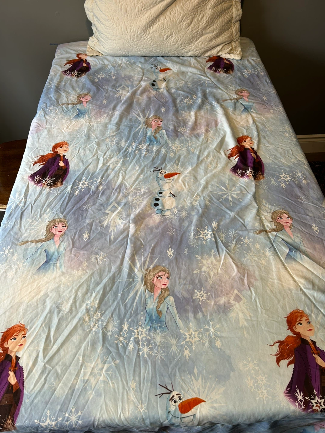 Disney Frozen Elsa & Anna Twin Bed Sheet Set - photo 2