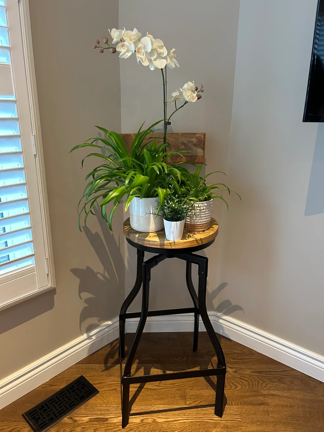 SWIVEL BARSTOOL REPURPOSED AS A PLANT STAND (SEE LISTING)