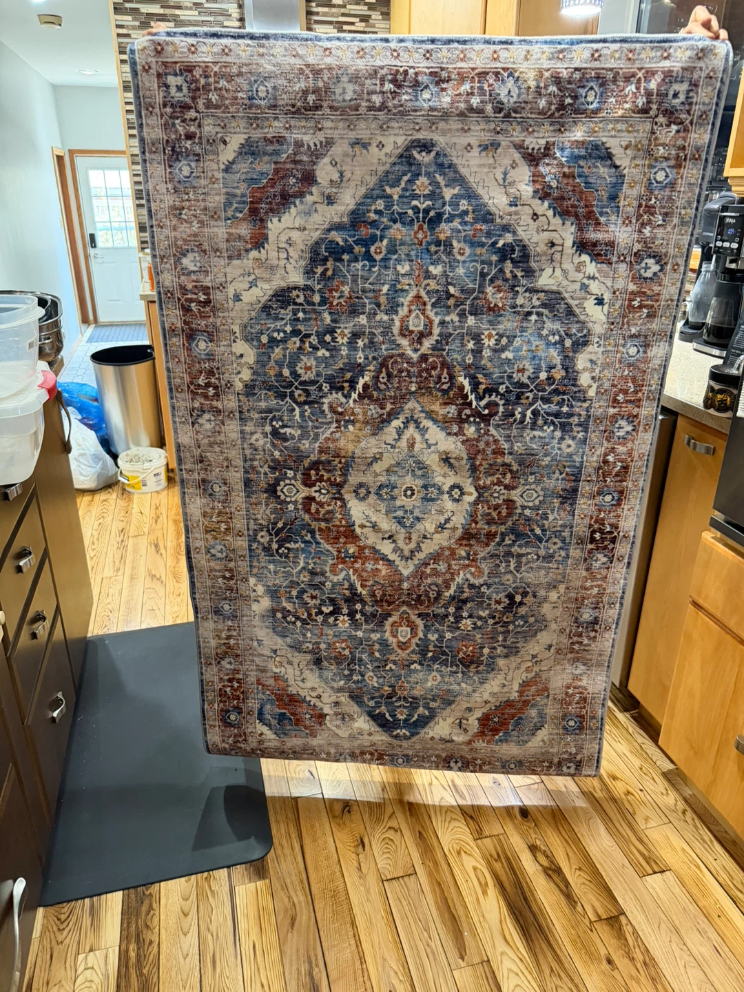 Blue and Red Medallion Area Rug