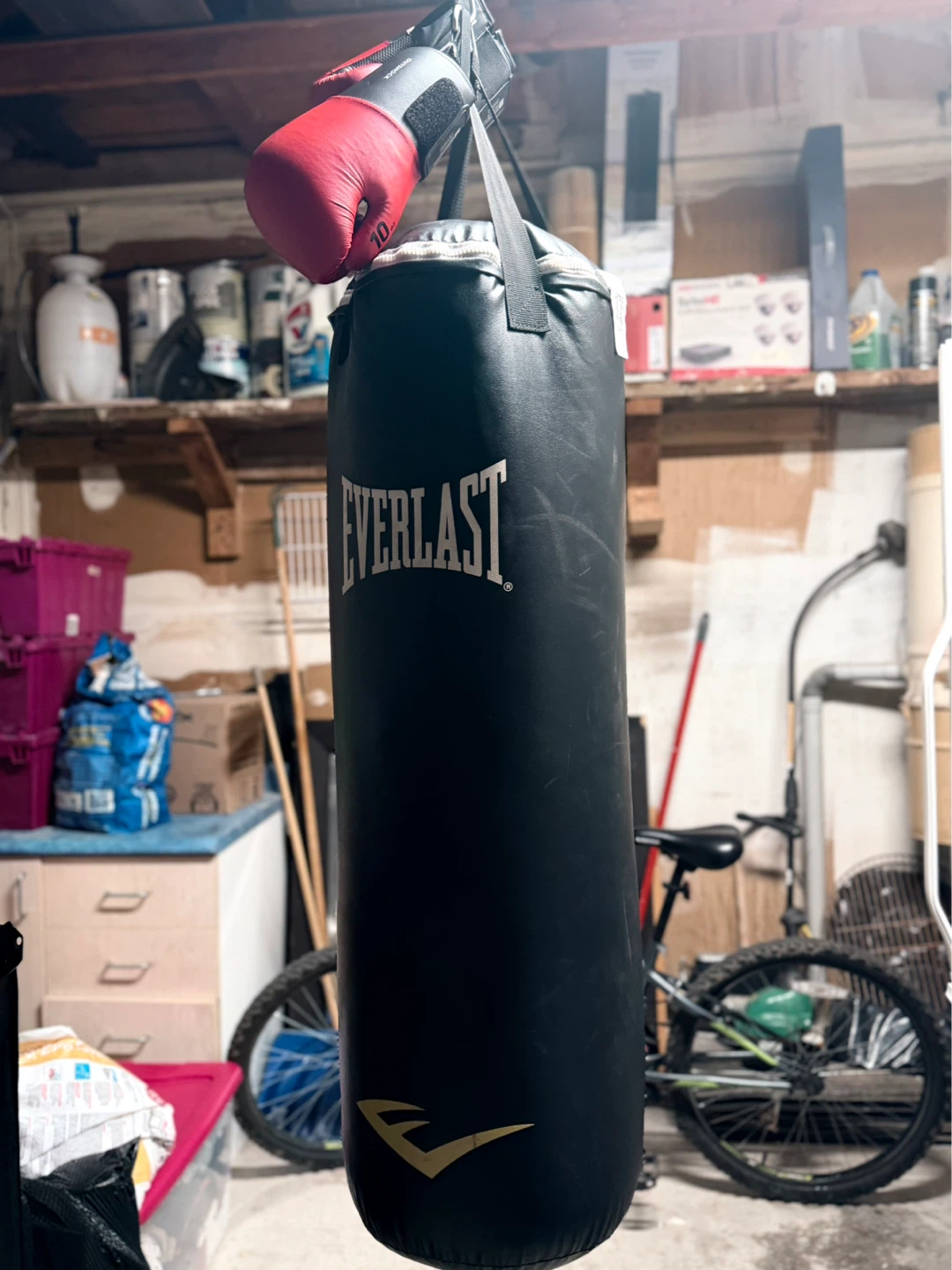 Everlast Punching Bag with Red Boxing Glove