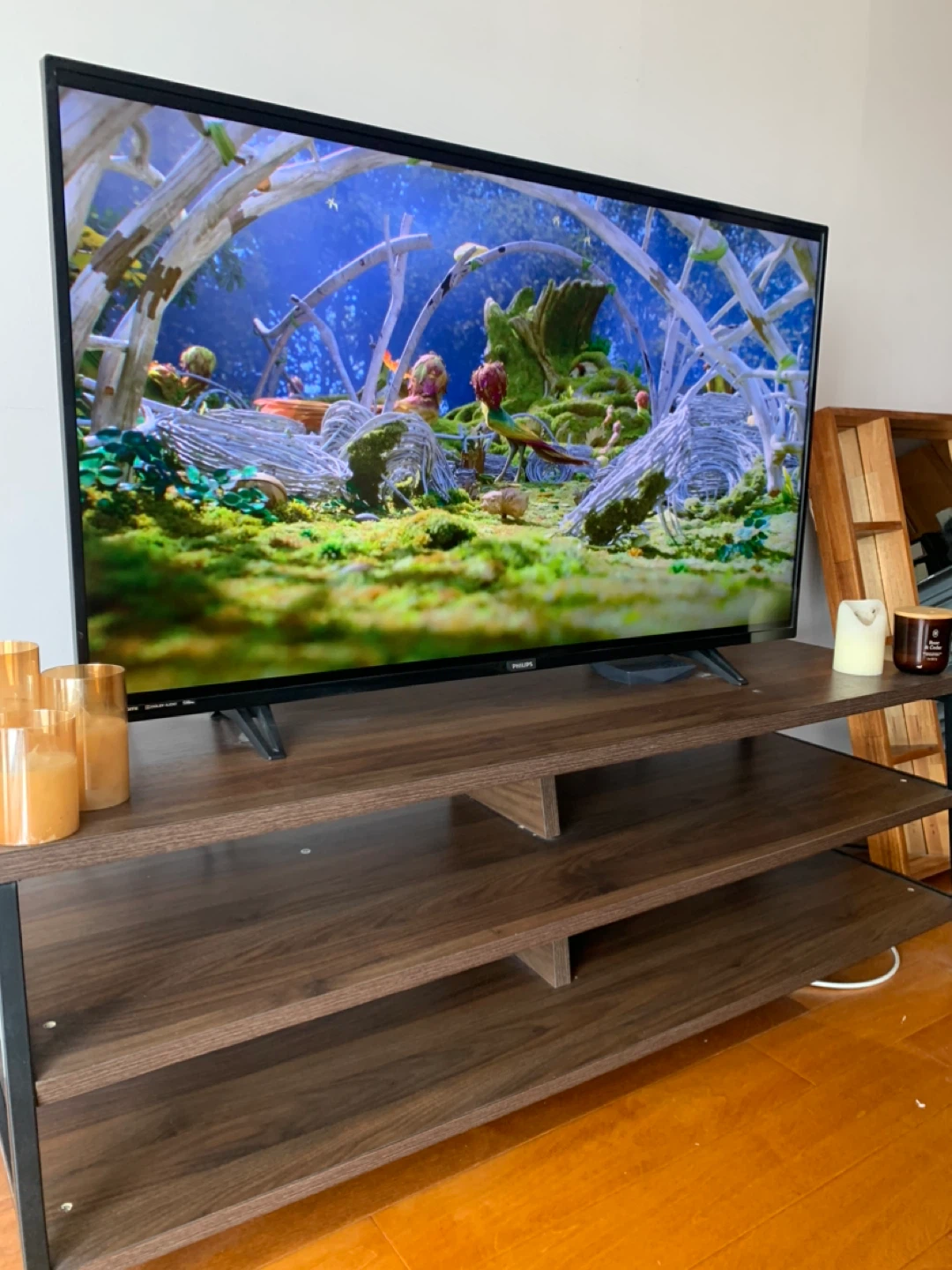 Philips 5000 Series 50” TV - MUST GO BY SATURDAY