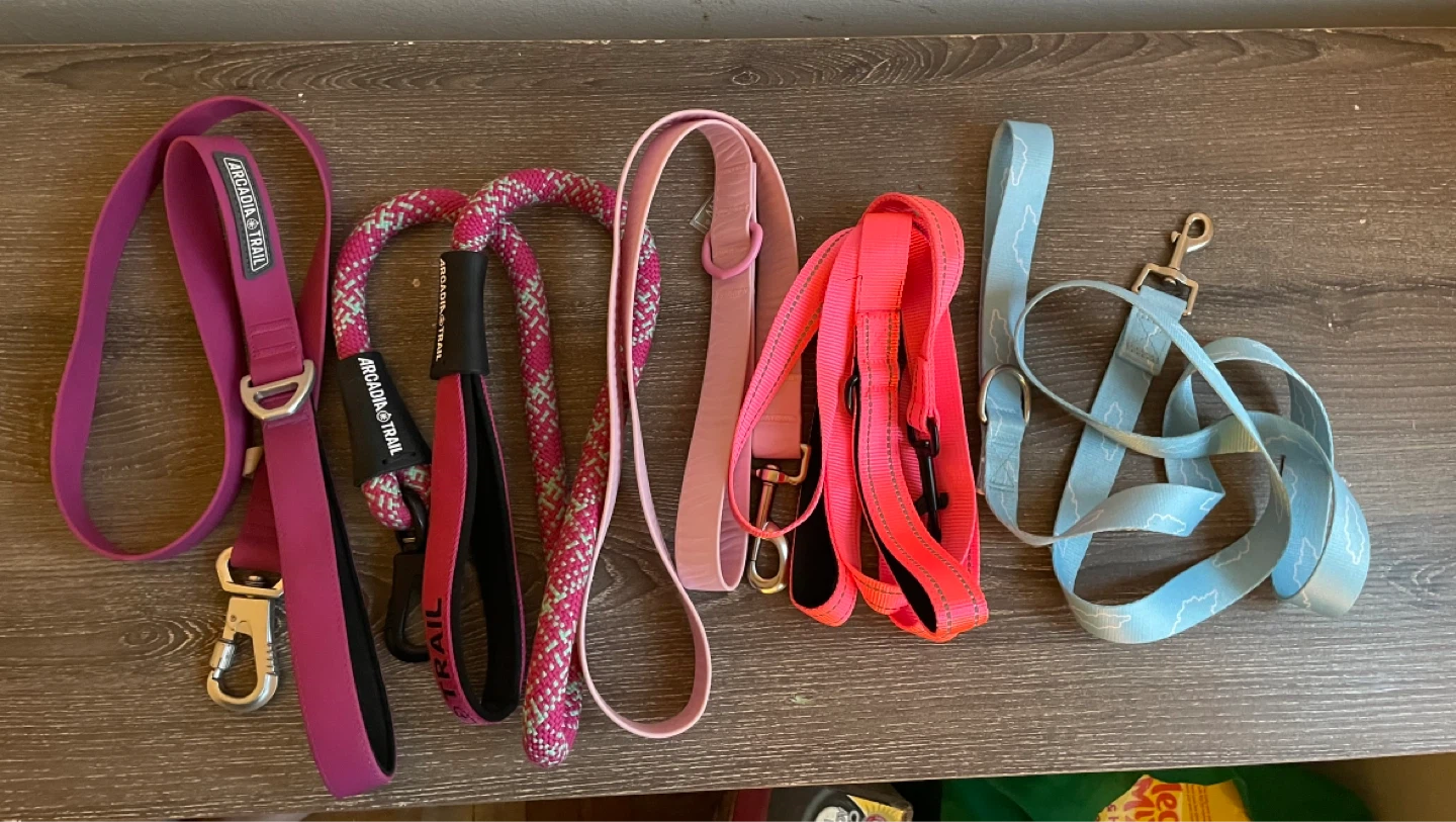 Large Dog Leashes Lot