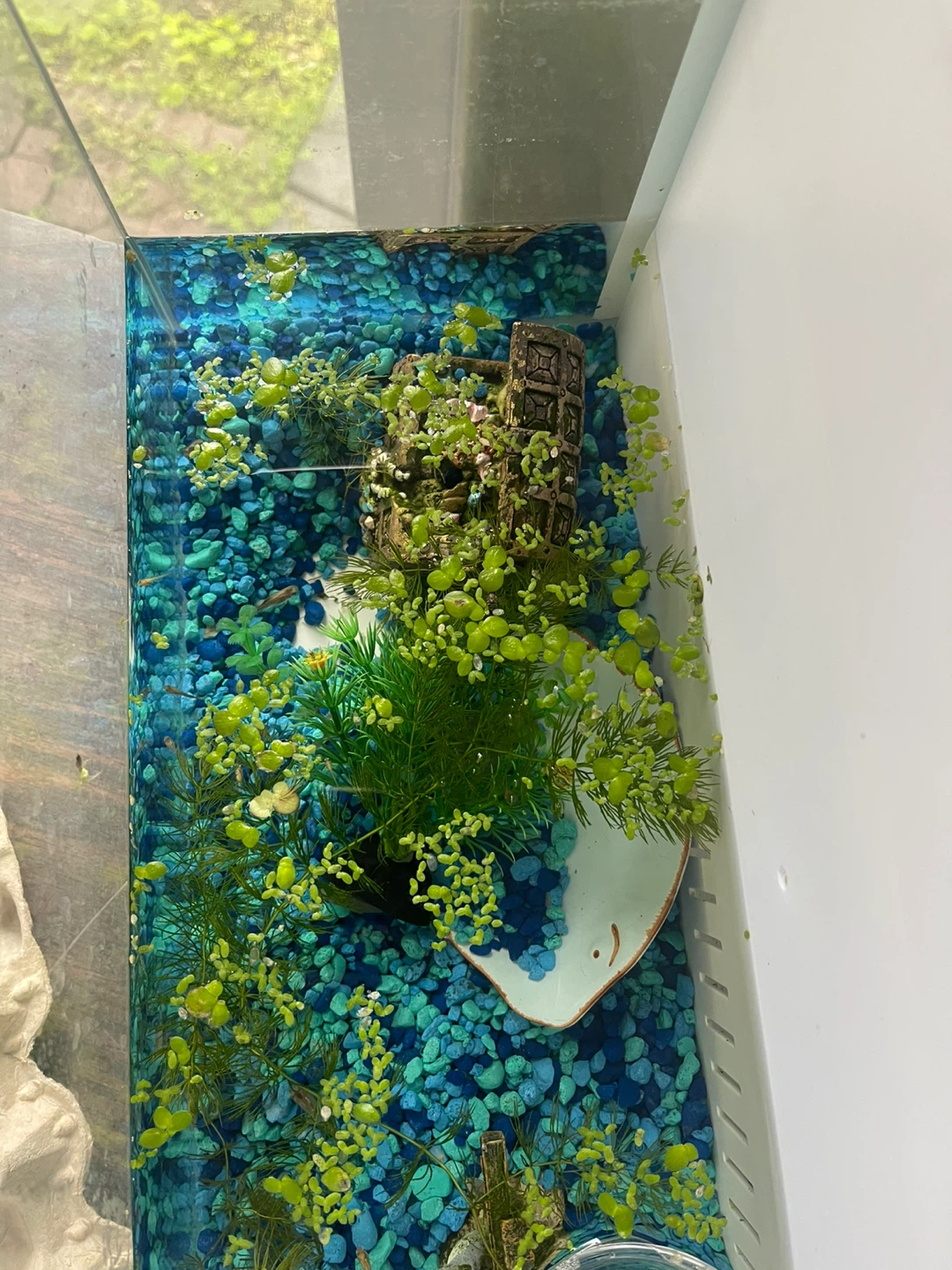 Aquarium Decoration Set - photo 5