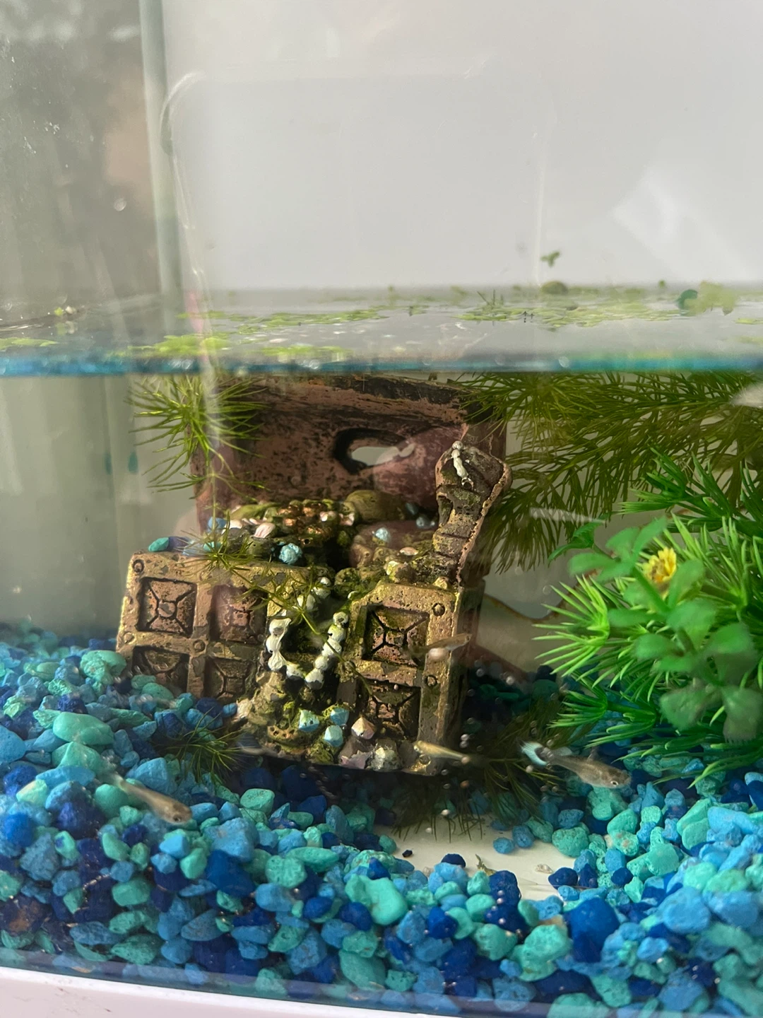 Aquarium Decoration Set - photo 4