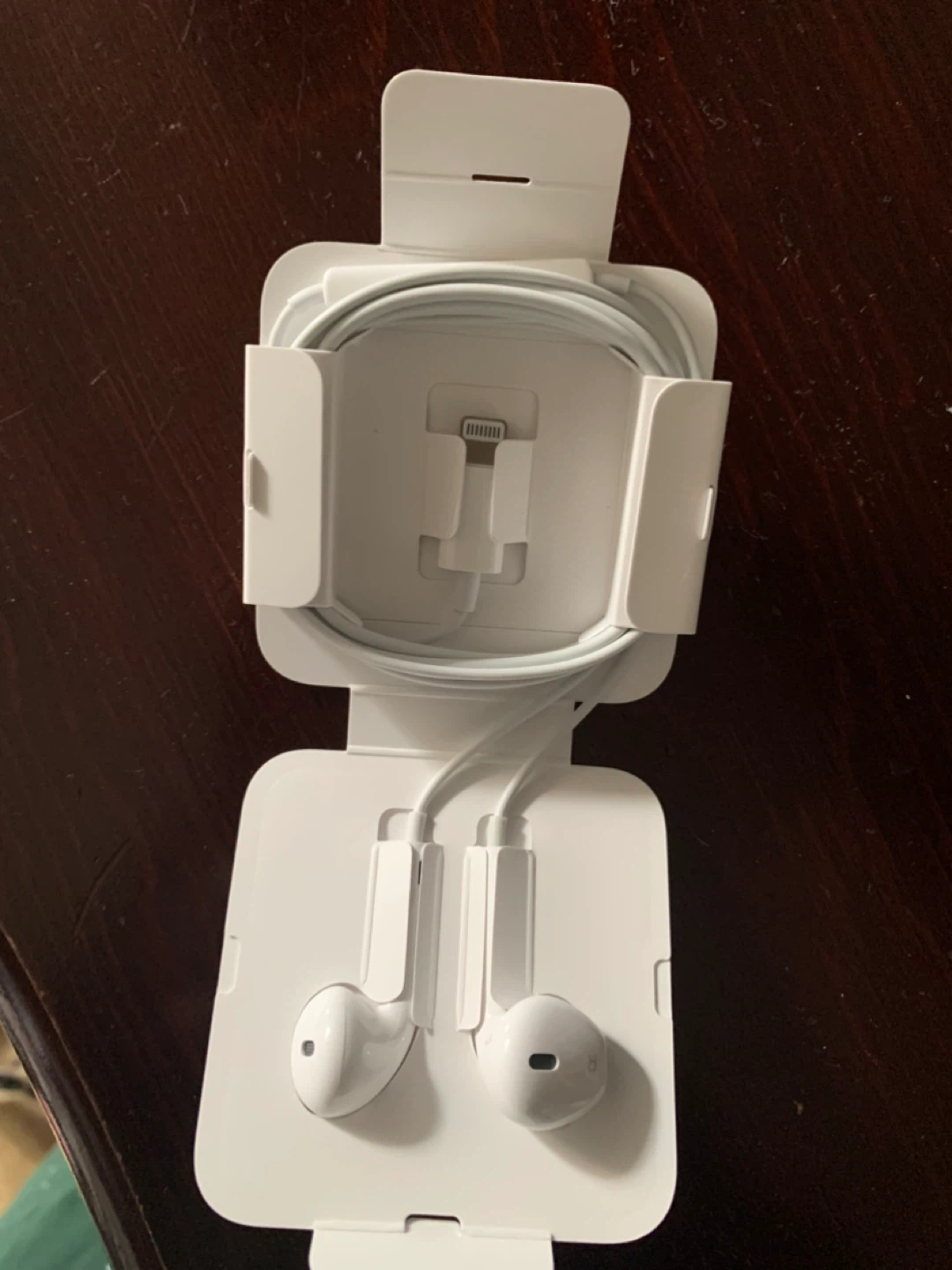 Apple EarPods with Lightning Connector